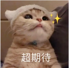 81f1bdb576031edbf02ec9020fa30ae4.png